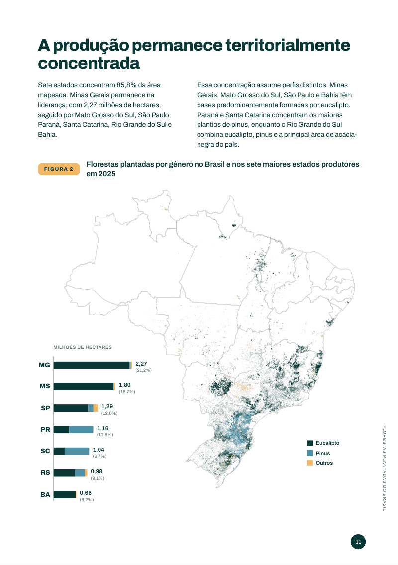 Página do relatório com a distribuição das florestas plantadas no Brasil e o ranking dos estados produtores